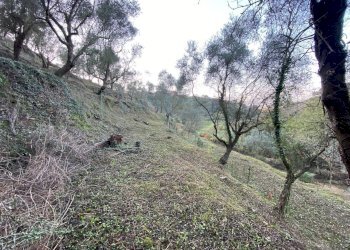 Foto 1 - Terreno agricolo San Fedele, Albenga - foto 1