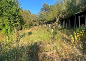 Foto 3 - Terreno agricolo San Fedele, Albenga - foto 3