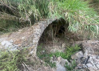 Foto 4 - Terreno agricolo San Fedele, Albenga - foto 4