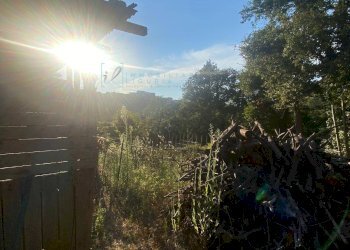 Foto 5 - Terreno agricolo San Fedele, Albenga - foto 5