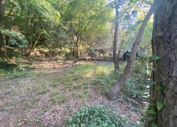 Foto 6 - Terreno agricolo San Fedele, Albenga - foto 6