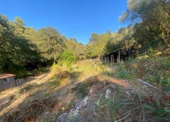 Foto 7 - Terreno agricolo San Fedele, Albenga - foto 7