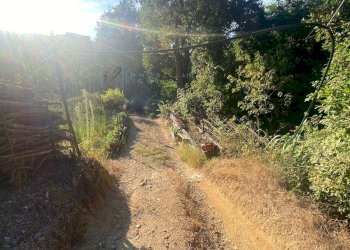 Foto 8 - Terreno agricolo San Fedele, Albenga - foto 8