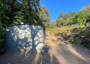 Foto 9 - Terreno agricolo San Fedele, Albenga - foto 9