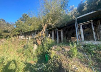 Foto 12 - Terreno agricolo San Fedele, Albenga - foto 12