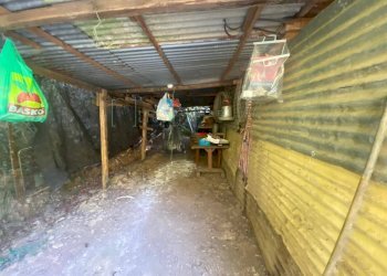 Foto 13 - Terreno agricolo San Fedele, Albenga - foto 13