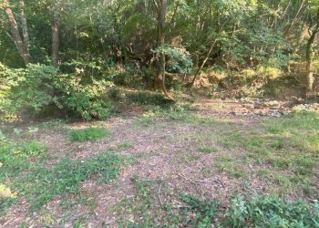 Foto 14 - Terreno agricolo San Fedele, Albenga - foto 14