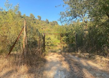 Foto 15 - Terreno agricolo San Fedele, Albenga - foto 15