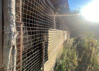 Foto 16 - Terreno agricolo San Fedele, Albenga - foto 16