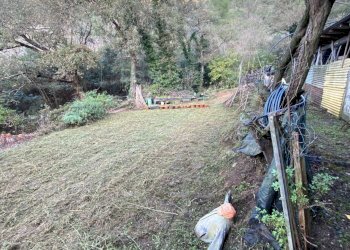 Foto 19 - Terreno agricolo San Fedele, Albenga - foto 17