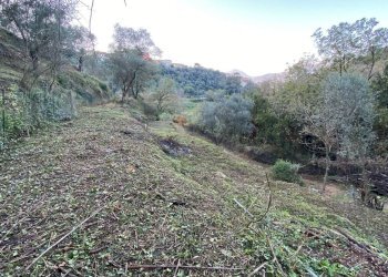 Foto 21 - Terreno agricolo San Fedele, Albenga - foto 19