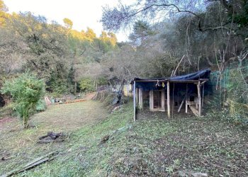 Foto 22 - Terreno agricolo San Fedele, Albenga - foto 20