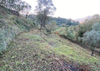 Foto 23 - Terreno agricolo San Fedele, Albenga - foto 21