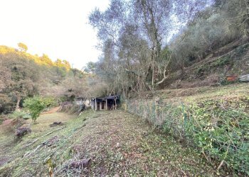 Foto 24 - Terreno agricolo San Fedele, Albenga - foto 22