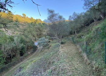 Foto 26 - Terreno agricolo San Fedele, Albenga - foto 24