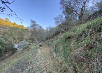 Foto 27 - Terreno agricolo San Fedele, Albenga - foto 25