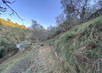 Foto 28 - Terreno agricolo San Fedele, Albenga - foto 26