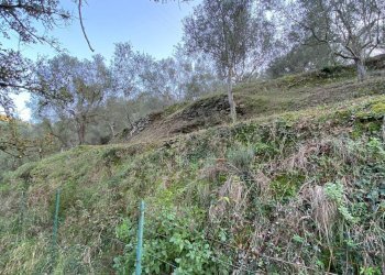 Foto 29 - Terreno agricolo San Fedele, Albenga - foto 27