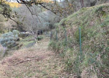 Foto 30 - Terreno agricolo San Fedele, Albenga - foto 28