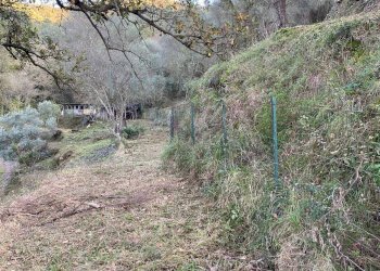 Foto 31 - Terreno agricolo San Fedele, Albenga - foto 29