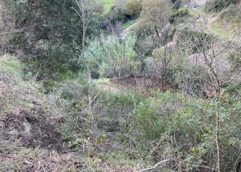 Foto 32 - Terreno agricolo San Fedele, Albenga - foto 30