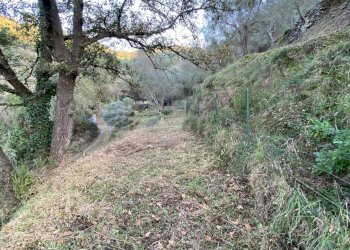 Foto 33 - Terreno agricolo San Fedele, Albenga - foto 31