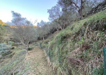 Foto 35 - Terreno agricolo San Fedele, Albenga - foto 33