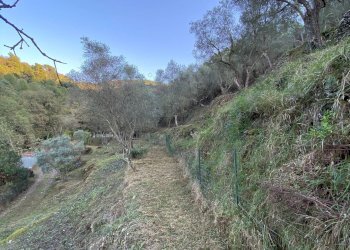 Foto 36 - Terreno agricolo San Fedele, Albenga - foto 34