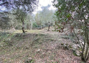 Foto 39 - Terreno agricolo San Fedele, Albenga - foto 37