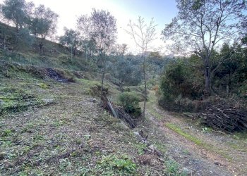 Foto 41 - Terreno agricolo San Fedele, Albenga - foto 39