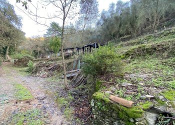 Foto 42 - Terreno agricolo San Fedele, Albenga - foto 40