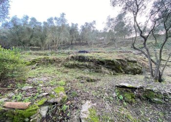 Foto 43 - Terreno agricolo San Fedele, Albenga - foto 41