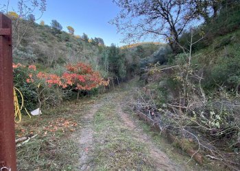 Foto 44 - Terreno agricolo San Fedele, Albenga - foto 42