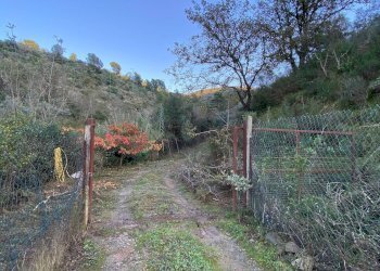 Foto 45 - Terreno agricolo San Fedele, Albenga - foto 43