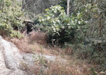 Foto 36 - Rustico Borgo Aracà, Ranzo - foto 36