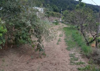 Foto 29 - Rustico località quartarole, Borghetto d'Arroscia - foto 29