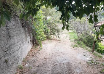 Foto 30 - Rustico località quartarole, Borghetto d'Arroscia - foto 30