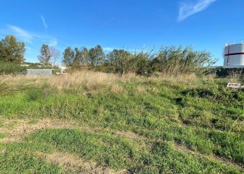 Foto 7 - Terreno agricolo Regione Beronaire, Albenga - foto 7