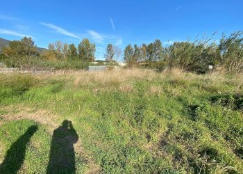 Foto 8 - Terreno agricolo Regione Beronaire, Albenga - foto 8