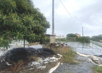 Foto 1 - Terreno agricolo Prato del Vescovo, Albenga - foto 1