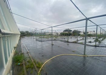 Foto 2 - Terreno agricolo Prato del Vescovo, Albenga - foto 2