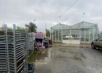 Foto 4 - Terreno agricolo Prato del Vescovo, Albenga - foto 4