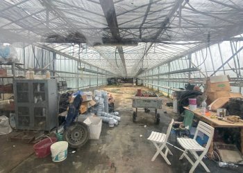 Foto 5 - Terreno agricolo Prato del Vescovo, Albenga - foto 5