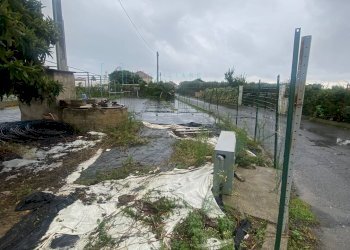 Foto 8 - Terreno agricolo Prato del Vescovo, Albenga - foto 8