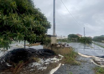 Foto 9 - Terreno agricolo Prato del Vescovo, Albenga - foto 9