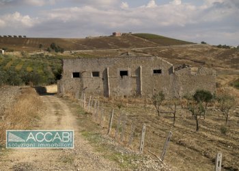 Foto 5 - Rustic Contrada Regalbesi, Erice - photo 5