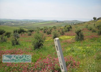 Foto 22 - Rustic Contrada Regalbesi, Erice - photo 22