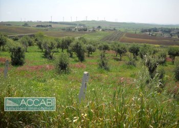 Foto 23 - Rustic Contrada Regalbesi, Erice - photo 23