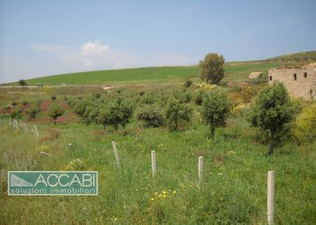 Foto 28 - Rustic Contrada Regalbesi, Erice - photo 28