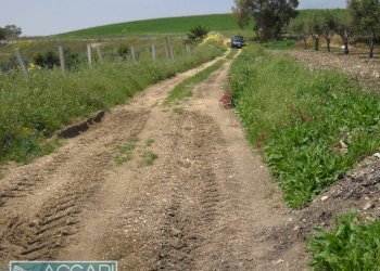 Foto 33 - Rustic Contrada Regalbesi, Erice - photo 33